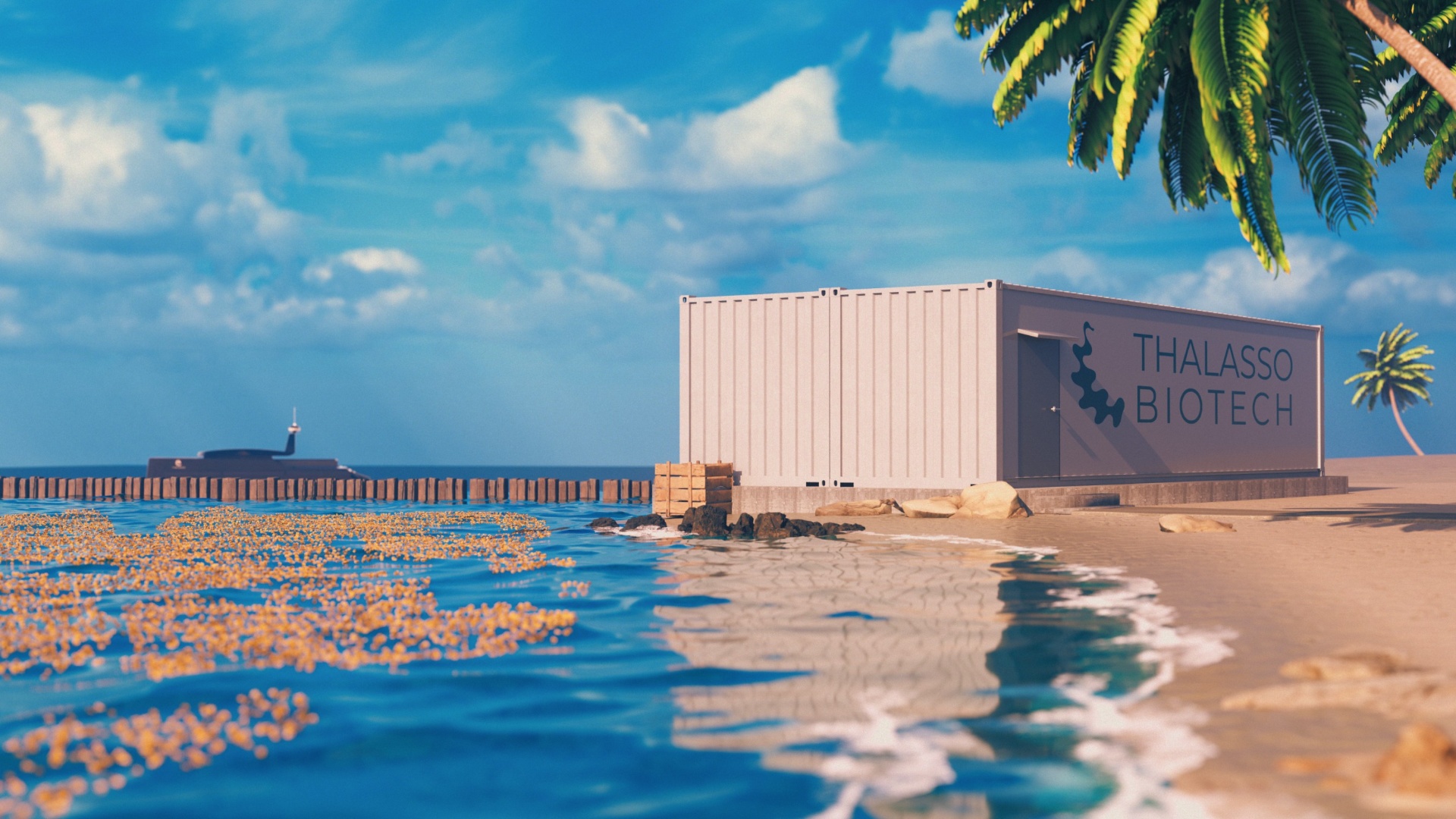 Thalasso Micro Biorefinery on the coast