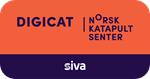 Digicat